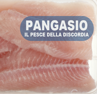 pangasio-il-pesce-della-discordia 25_12