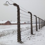 Auschwitz5