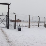 Auschwitz6