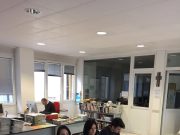 Il Ponte tra scuola e lavoro