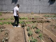 Fra Microcredito e Orto sociale