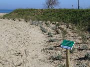 La riminse Info Alberghi dona 20 euro al giorno per sostenere gli hotel colpiti dal terremoto