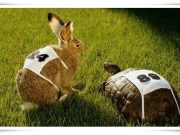 Caffè Scorretto – Fermati e non fermarti