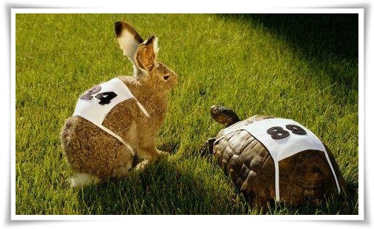 Elogio-della-lentezza-4