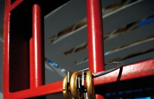 Ilaria Pruccoli: “Fuori il carcere”