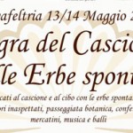 Sagra Cascione logo low