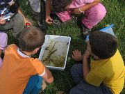 Centri estivi – Era bello quando si giocava e basta….