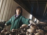 “La Fungar è la nostra grande famiglia”