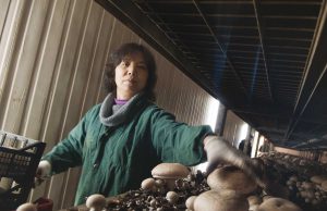 “La Fungar è la nostra grande famiglia”