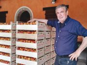 Santarcangelo, Pazzaglia e i suoi campi… asilo