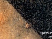 SIGISMONDO MALATESTA, UNA CELEBRAZIONE