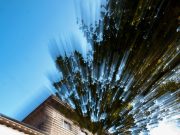 Carim salva, a che prezzo?