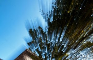 Carim salva, a che prezzo?