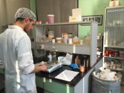 Lavoro, assunzioni Ko dopo l’effetto Job’s Act