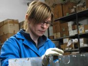 Romagna mia, tra gioie e dolori