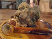 Tartufo – Quando l’oro si estrae dai boschi