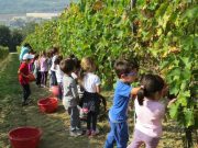 Scuola cattolica. Dopo 17 anni parità ancora lontana