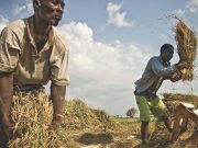 Meno poveri, più disuguaglianza