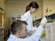 Le migliori scuole del territorio