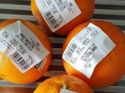 Insoddisfatti e sborsati