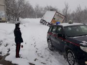 Neve in Romagna. Tutte le foto