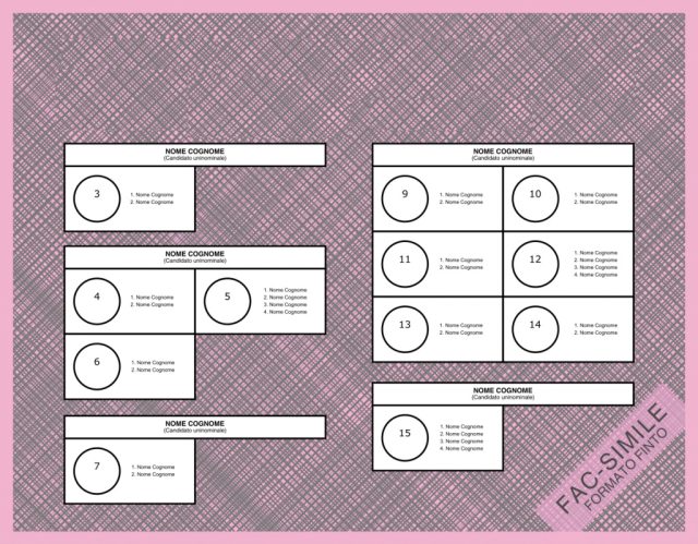 scheda-politiche-2018