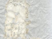 San Gaudenzo e le antiche reliquie