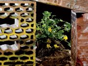 A Rimini l’edilizia fa terra bruciata