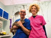 E io sarei un animale?