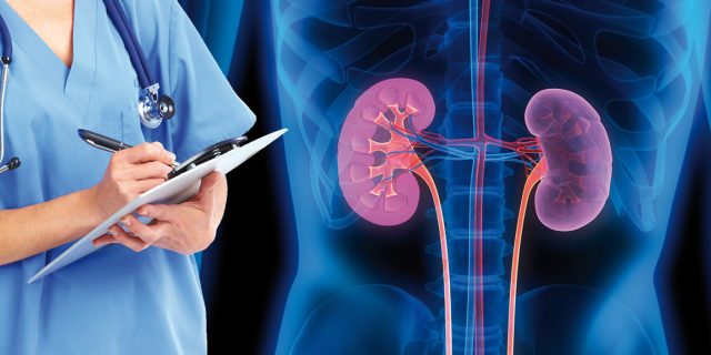 nefrologia