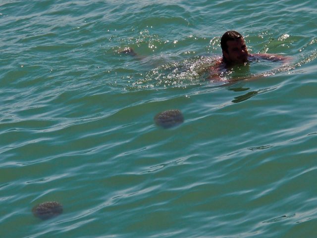 Turisti-Mare-Meduse_5001836