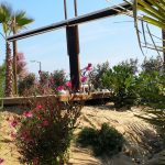 piantumazione-rivazzurra-08