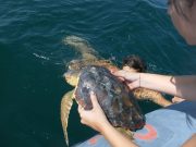 Estate 2018: giovani e volontariato