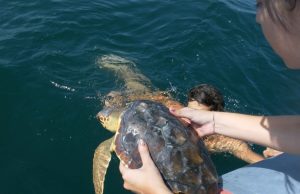 Estate 2018: giovani e volontariato