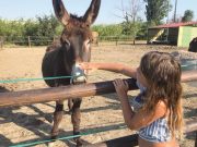 Un “sogno nel cassetto” e 30 anni di storia