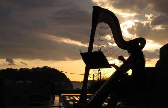 36728164_1100308216789447_2986326044065136640_n