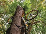 Obike: Invasione gialla