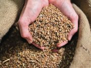 Mangiare all’antica: a tavola non si invecchia