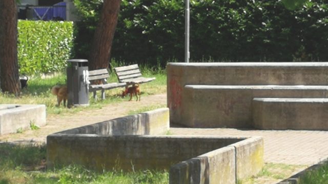 parco robinson valconca