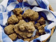 Sant’Agata benedice il suo oro bianco