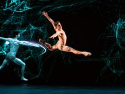 Le tante bolle del Galli