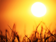 Eccezionale mediamente