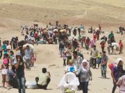 Quattro progetti nei quattro angoli del mondo