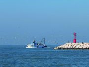 Mercato ittico: è scontro