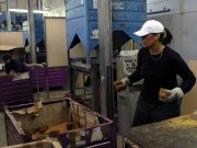 Il lavoro a Rimini è ancora poco… rosa