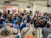 Romagnoli unitevi. Almeno per tre giorni