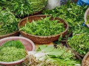 Con Saluserbe Saludecio è naturale!