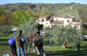 Ca’ Santino, da 20 anni è un luogo vivo per tutti