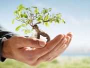 Perché tutto è dono