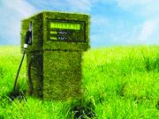 Biocarburanti, una scelta davvero “green”?